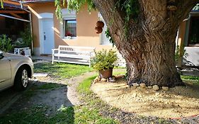 Citycamping és Vendégház