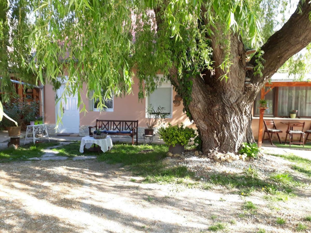 City Camping& Apartman &Bungalow Hotel Győr Exterior foto